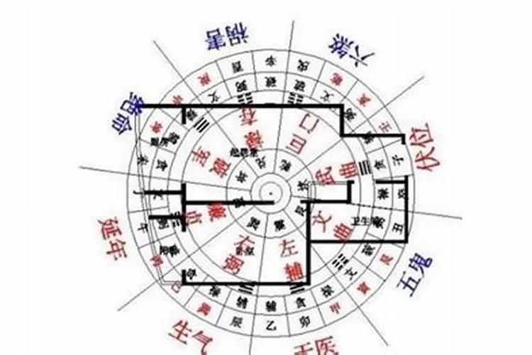 12生肖住哪个房号最旺