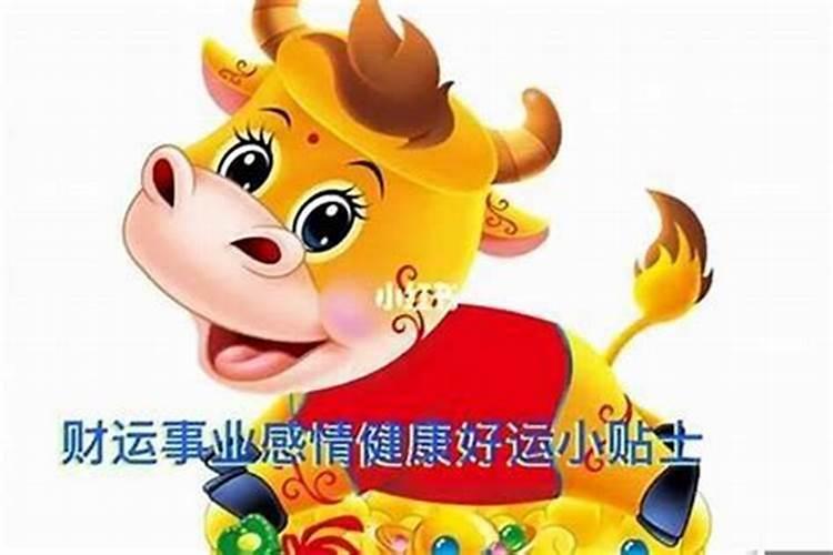 梦见在大海上游玩的预兆