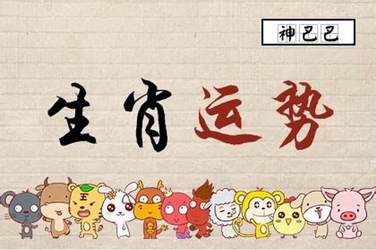 属羊今日运势