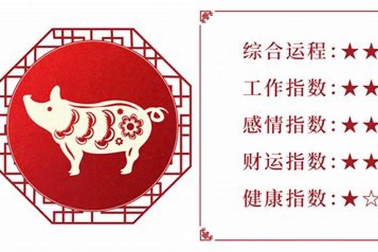 1971年的猪2025年每月的运程