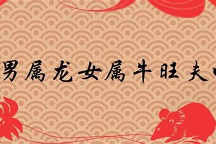 88年女属龙和85年男属牛婚配好吗？