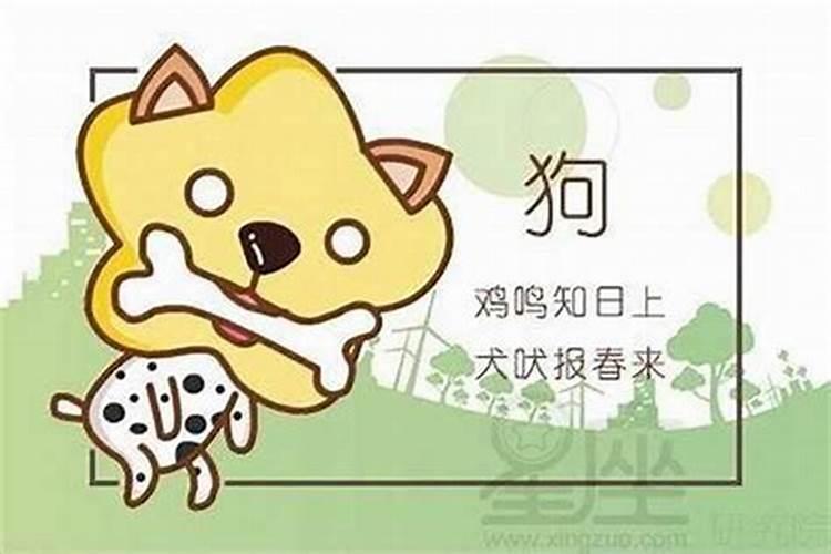 属兔人2025年运势及财运
