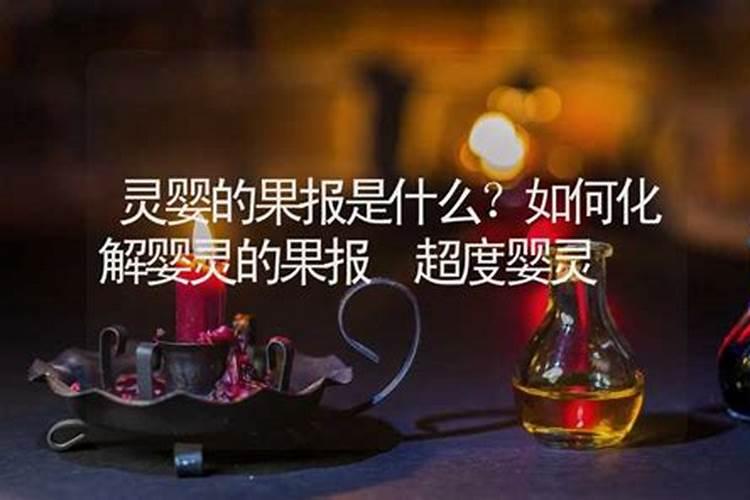 属猪的人2025年运势及运程