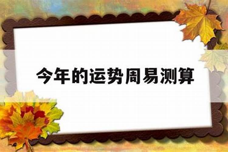 男属马和女属狗的婚配 男属马和女属狗的适合做夫妻吗