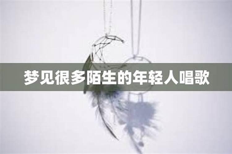 石器时代M狂人龙系怎么培养 狂人龙系加点攻略
