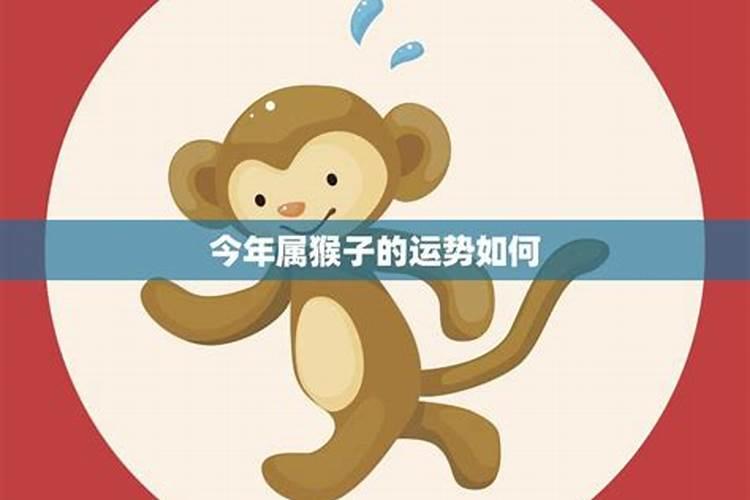 2025年端午节放哪三天