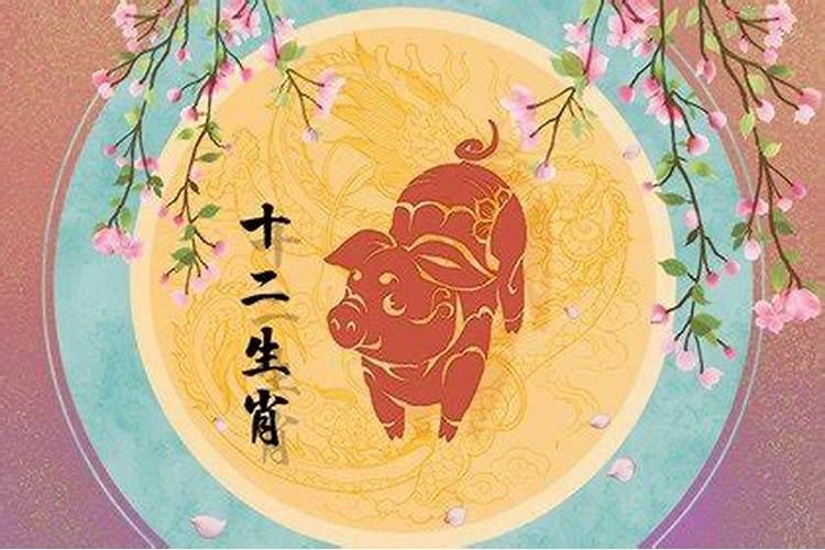 属猪59出生2025年几岁了