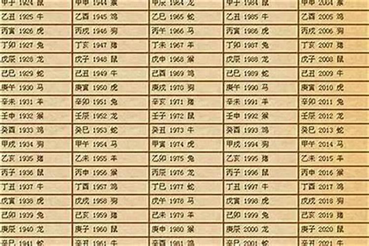 属鼠的后半生命运很惨吗