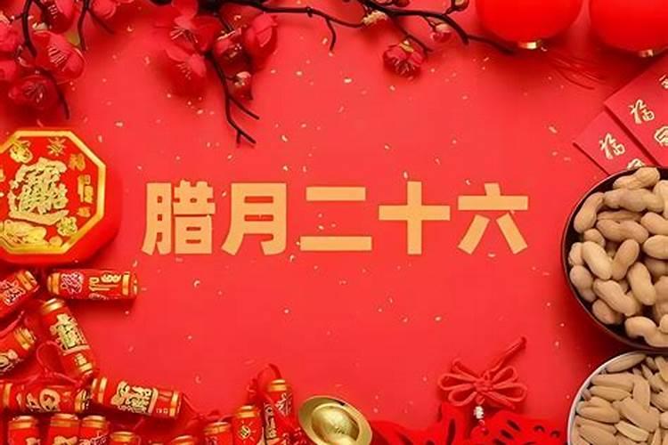 属狗和什么属相最配