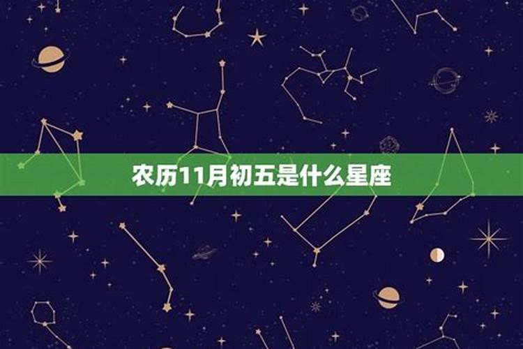1979年属羊女2025年运势如何