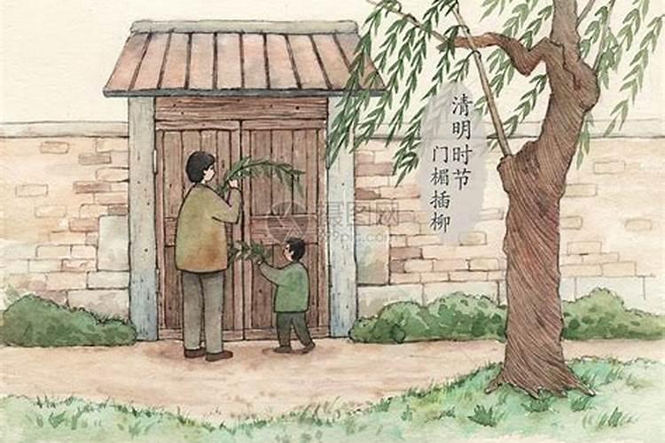 清明节插柳枝的意义,为什么插柳枝？