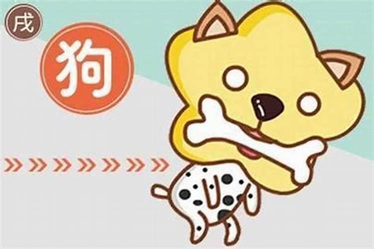 70年狗2025年的运势及运程
