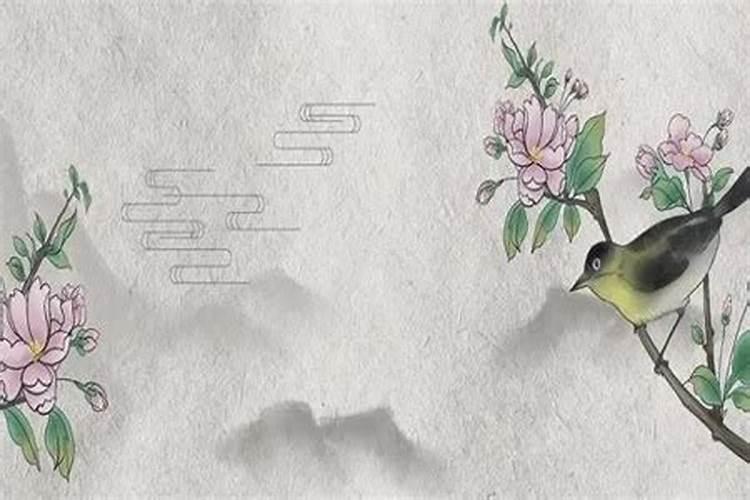 立春出生的人命好吗立春出生的人运势好吗