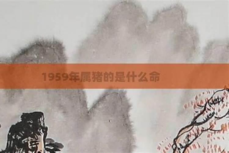 2026犯太岁的属相都是什么