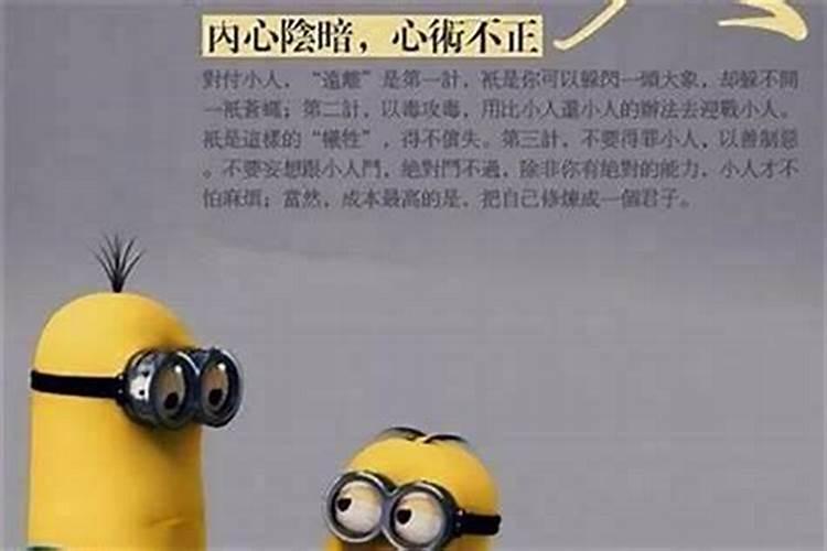 太单纯没有防备心,总被小人坑害的生肖是哪几个？