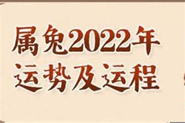 2025属兔人的全年运势如何