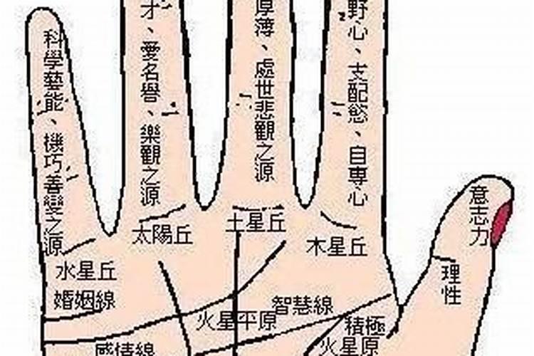宝船纹手相说明什么？