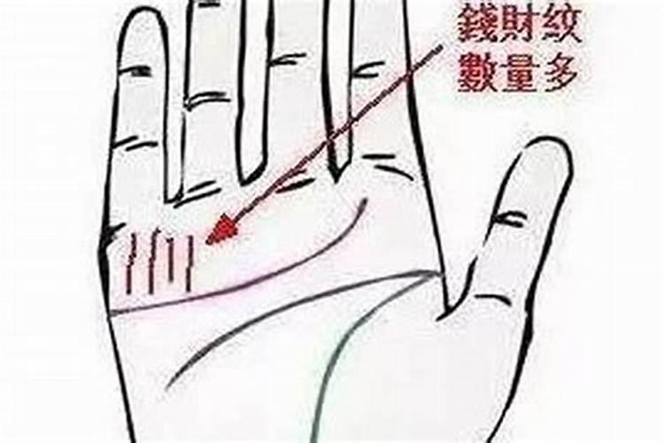 船形纹和元宝纹区别