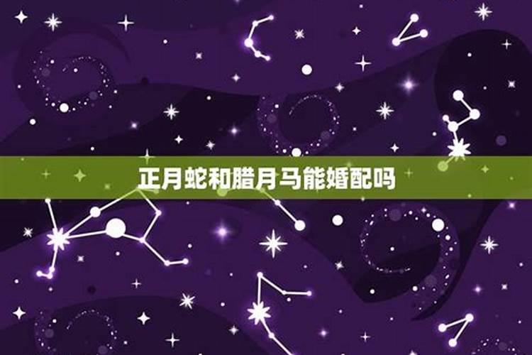 1969年的属相