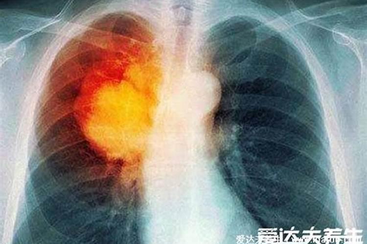 2025年属狗的全年运势大家找算命网