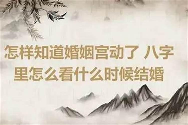 婚姻宫动了是什么意思