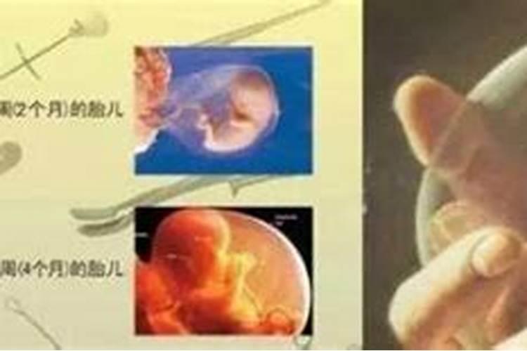 怎么看两个人是否合财,两个人合财,合财是什么的意思？ 谢谢