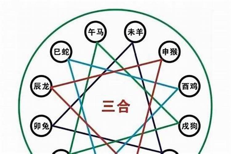 一九四九年是什么生肖