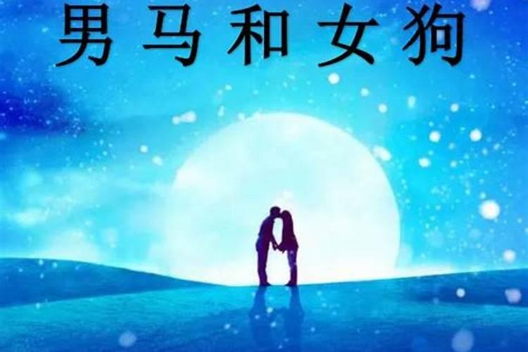 属马男跟属鸡女的姻缘怎么样 属马男和属鸡女有结婚的之后幸福的吗