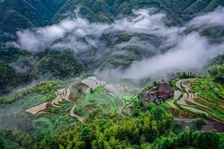 中国茶道的历史和怎样传承做法？
