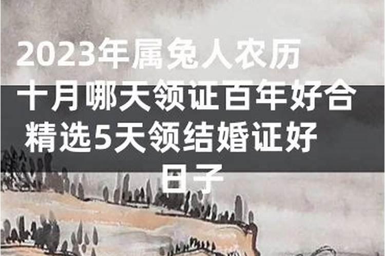 梦见买块地的预兆