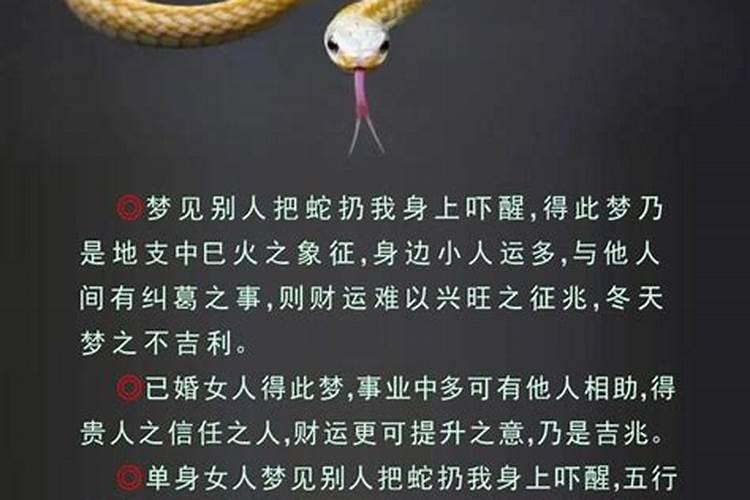 2025属马人全年运势详解