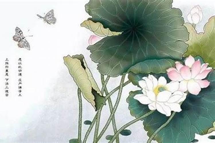 打胎会有什么因果