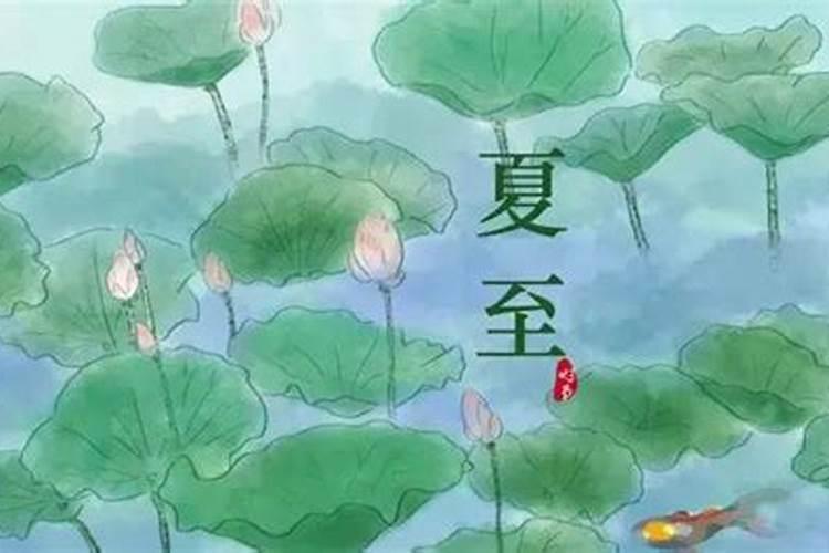 夏至有什么讲究禁忌