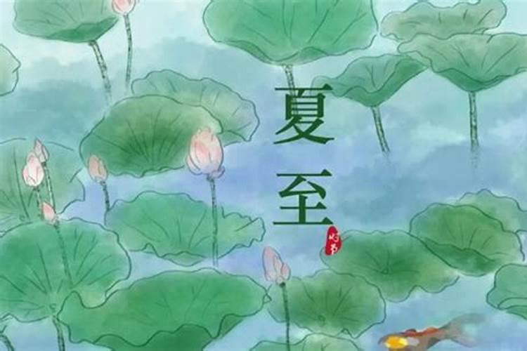 夏至有什么讲究禁忌