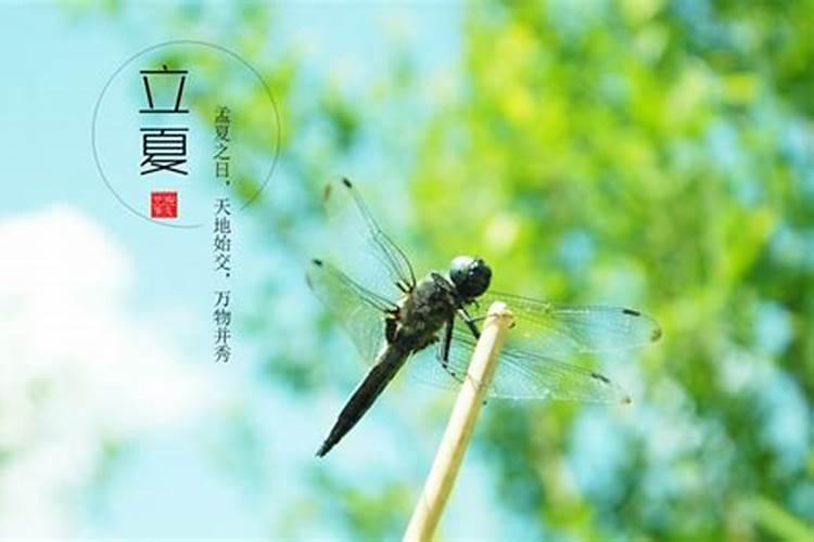 73年属牛人2025年运程