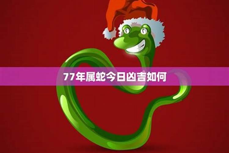 2025蛇年运势及运程