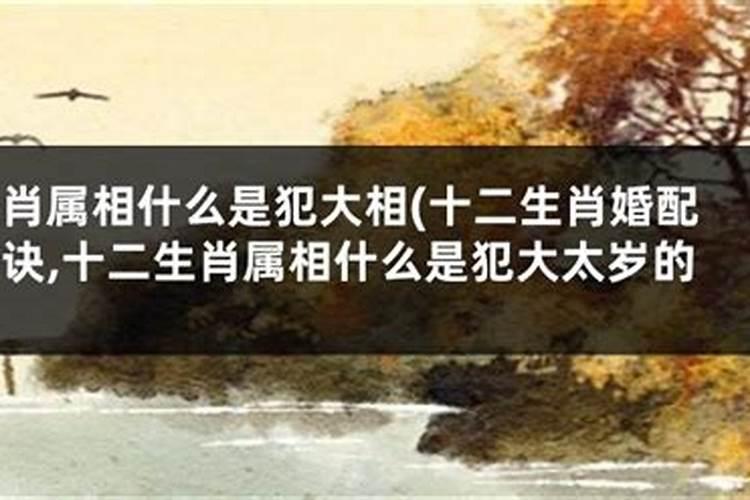 算两个人的生辰八字合不合