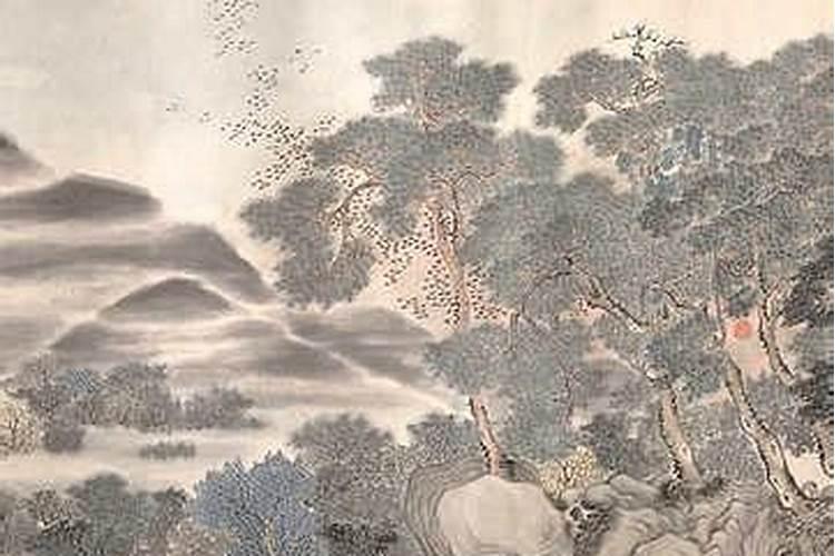 2004年生肖猴的一生学业运势 属猴人适合在哪个方位学习？
