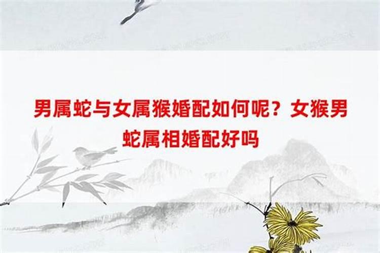 哪些家居风水犯小人