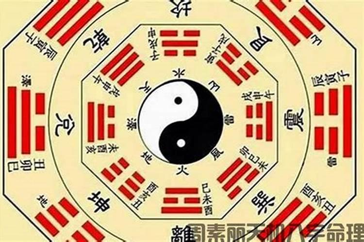 丑巳两个地支相合吗？我不懂。求指点!