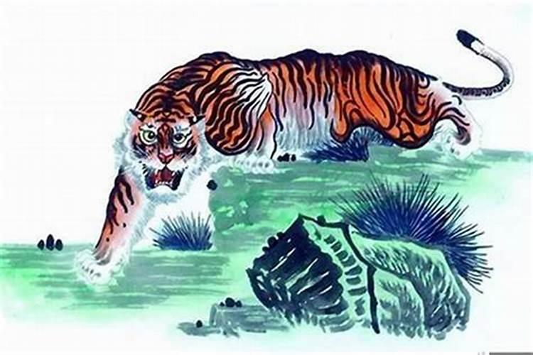 生肖虎2025年运势 属虎2025年运势及运程