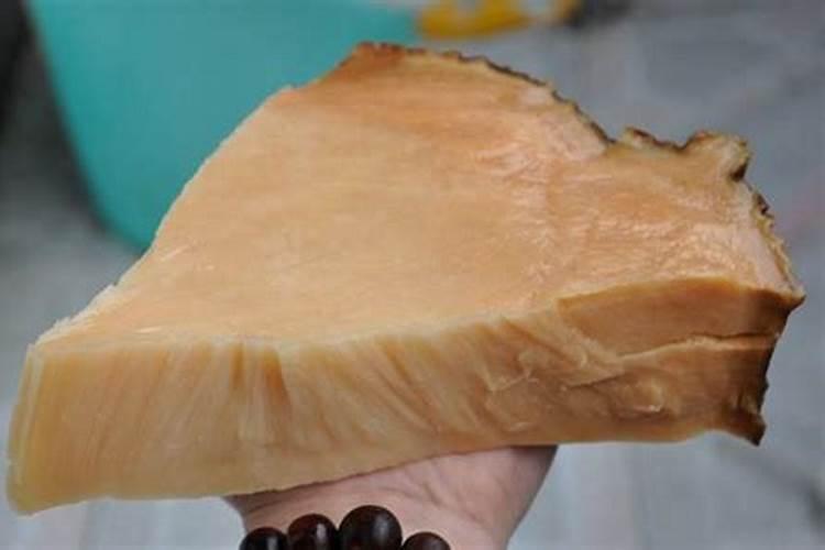 太岁具有哪些作用？(肉灵芝有哪些功效)