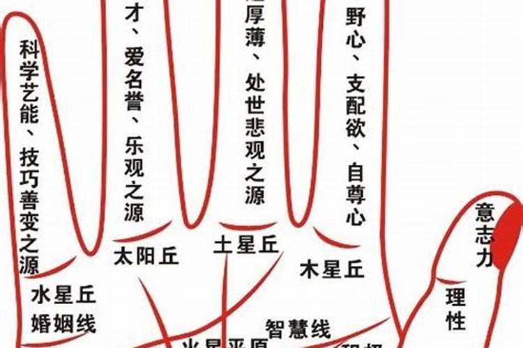 宁德有哪些中学