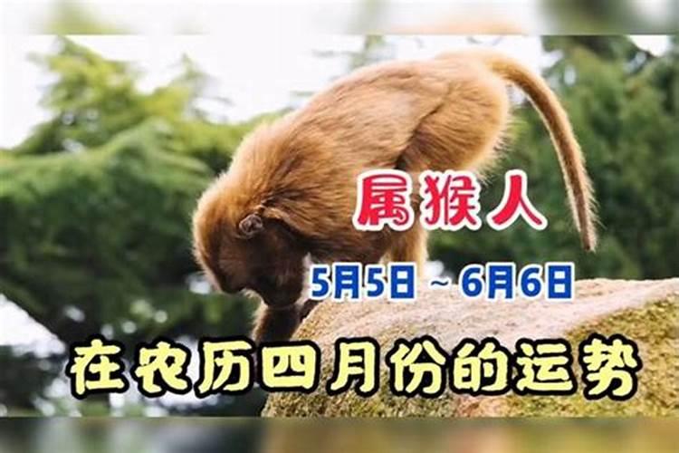 梦见自己躲躲藏藏