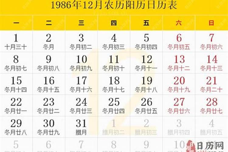 重阳节有哪些活动