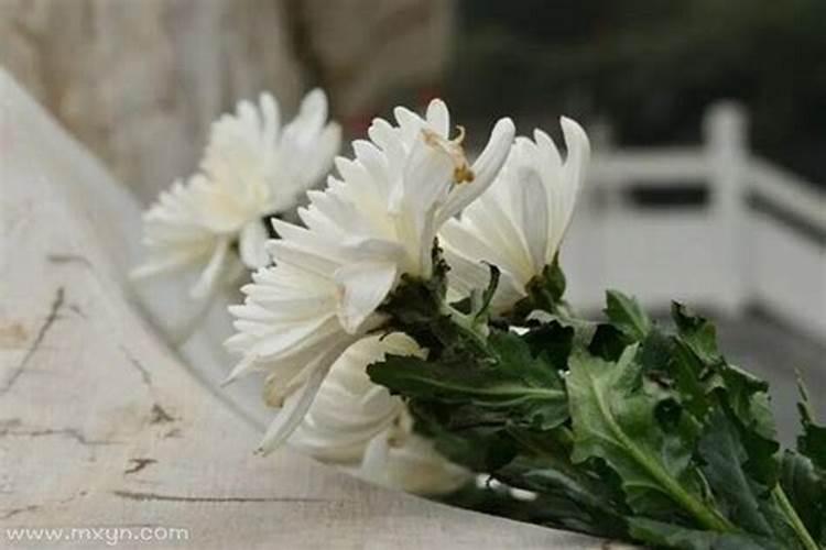梦见扫墓是什么意思？