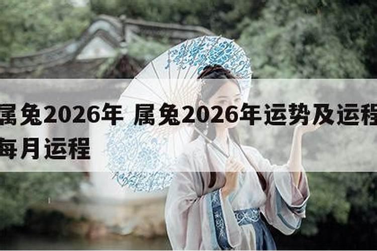 属兔的是水兔吗,1962年属虎人是金命还是水命