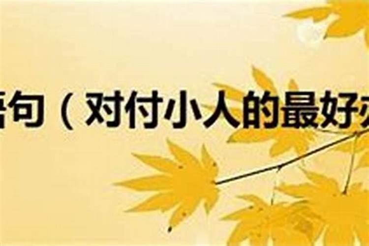 如何对付嘴烂,欺软怕硬的隔壁邻居小人？