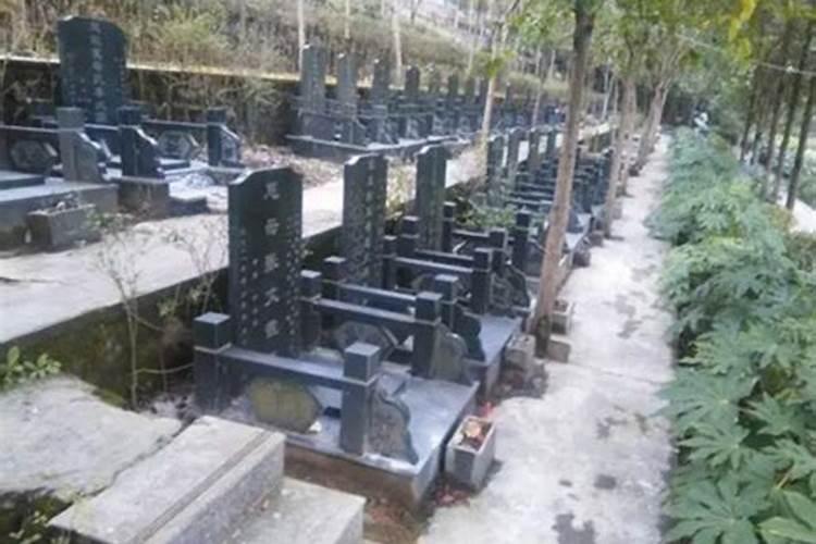 圆坟是什么意思