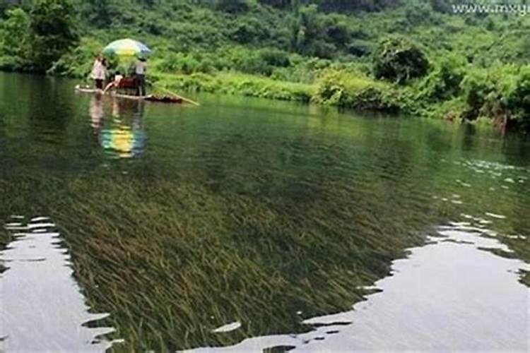 梦见河水暴涨漫过路是什么征兆